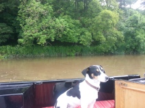 Jess looking a little bored with the river journey!!